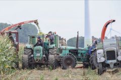 Mais häckseln in Groden 2020