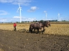 5_31-08-03_pfluegen_3