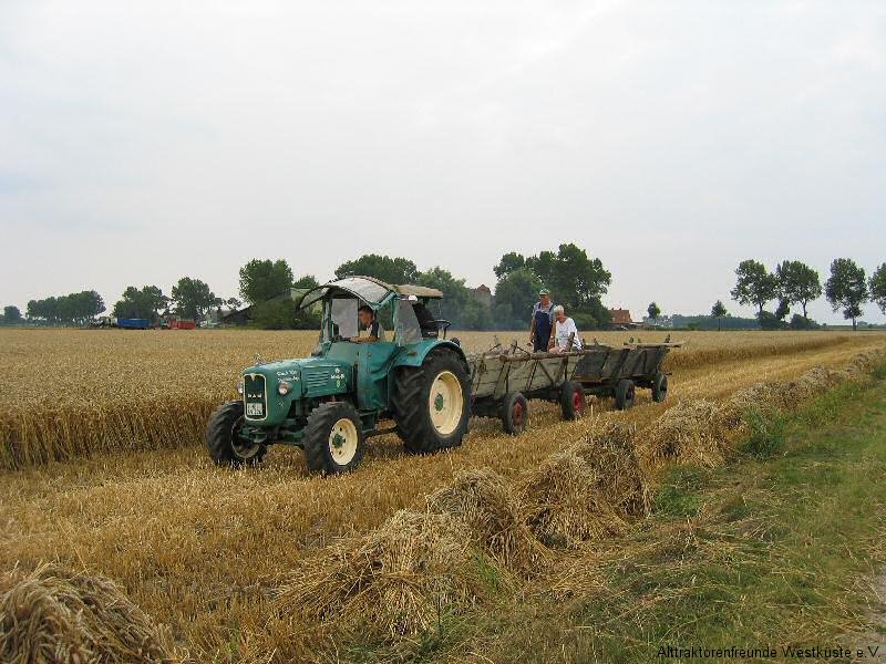 7_02-08-03_korn_einfahren_1