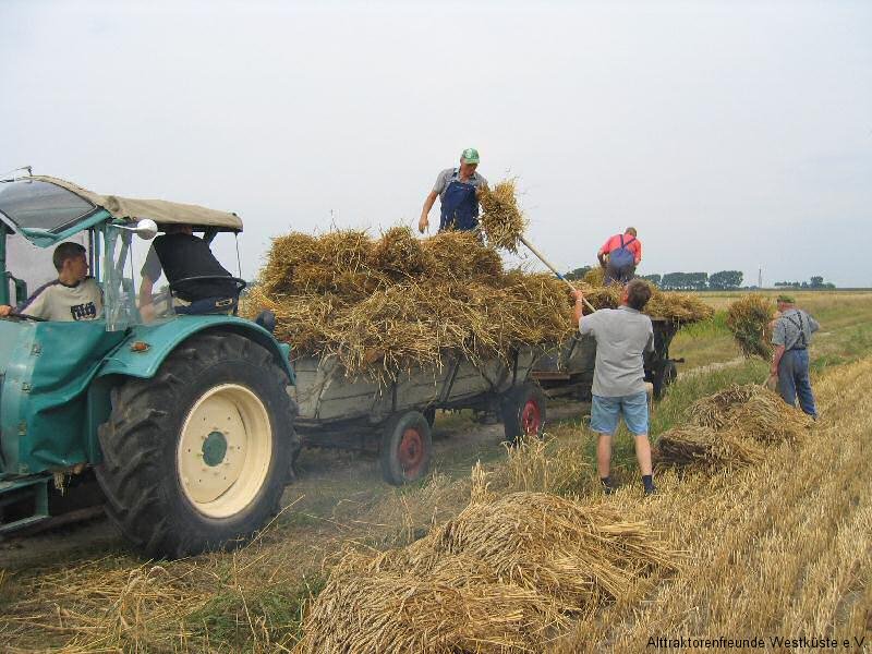 7_02-08-03_korn_einfahren_2
