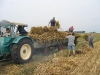 7_02-08-03_korn_einfahren_2