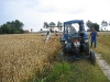 8_27-07-03_korn_maehen_3