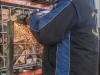Bild Nr13