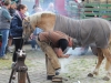 Bild Nr163