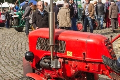 Bauernmarkt Wilster 2015