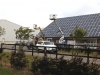 Buschhacken in Friedrichskoog 001
