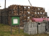 Buschhacken in Friedrichskoog 002