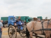 Buschhacken in Friedrichskoog 012