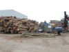Buschhacken in Friedrichskoog 014