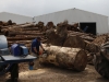 Buschhacken in Friedrichskoog 038
