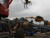 Buschhacken in Friedrichskoog 042