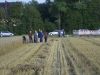bild-nr-8