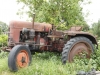 Bild Nr61