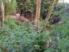 IMG-20220709-WA0035