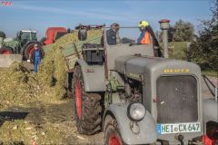 Mais häckseln Neufeld 2021