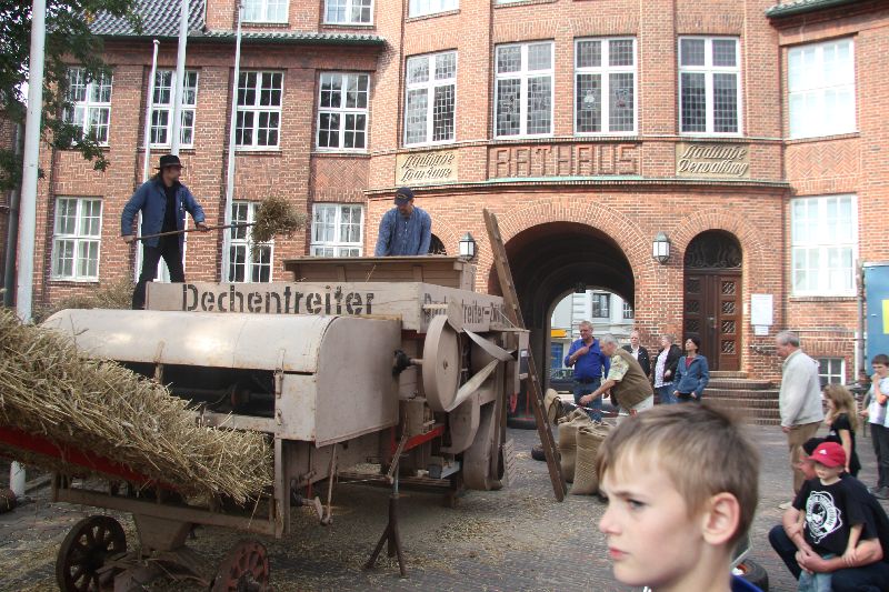 2011_09_25_Marner_Kohltage_17.JPG