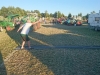 Bild Nr101