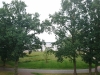 Bild Nr33