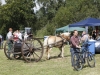 Bild Nr52