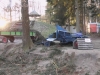 bild-nr031