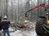 Bild Nr101