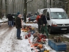 Bild Nr36
