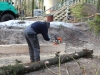 Bild Nr45