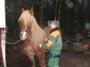 Bild Nr36