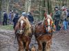 Bild-Nr.30