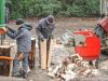Bild-Nr.12