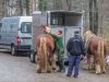 Bild-Nr.9